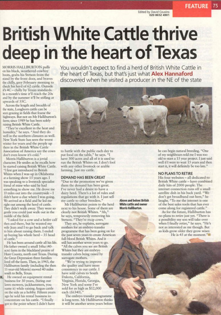 Farmers Weekly British White Cattle Article