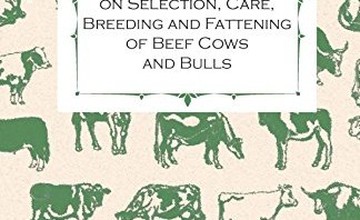 Beef Cattle Management – With Information on Selection, Care, Breeding and Fattening of Beef Cows and Bulls