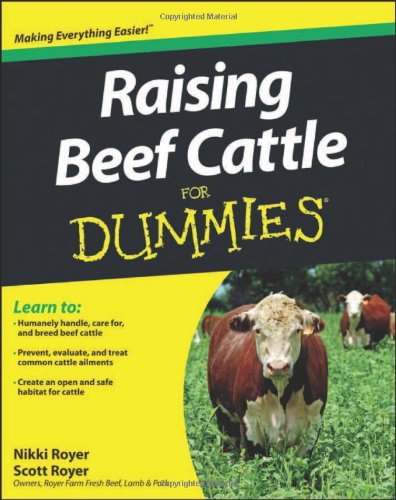 Raising Beef Cattle For Dummies Halliburton Farms British White Cattle 3936