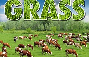 Grain vs. Grass: Effects in Raising Beef and Poultry
